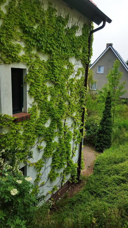 Haus Seefeld Uckeritz Exteriér fotografie
